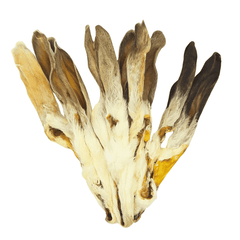 Kaninchen-Ohren mit Fell Premium Qualität