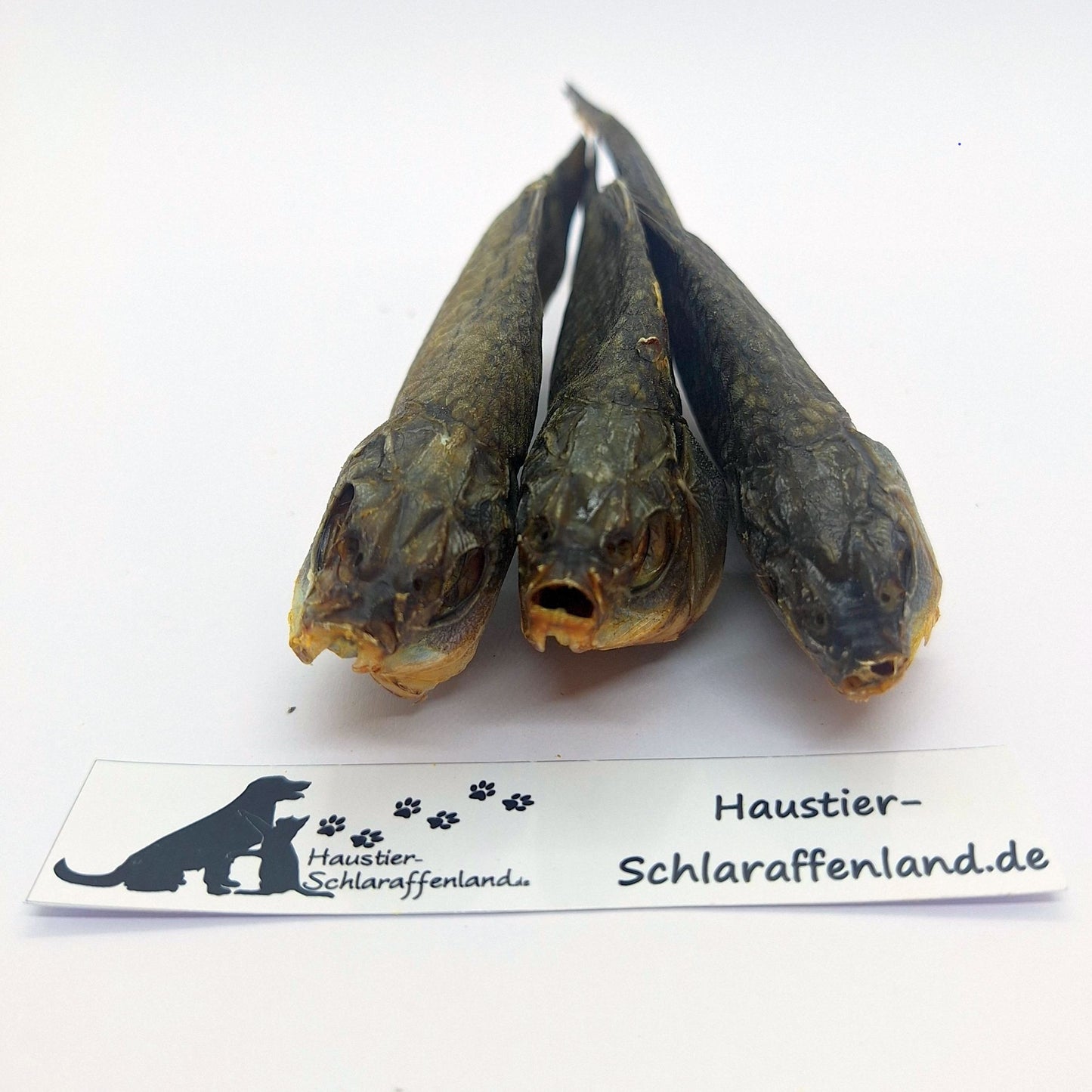 Karausche