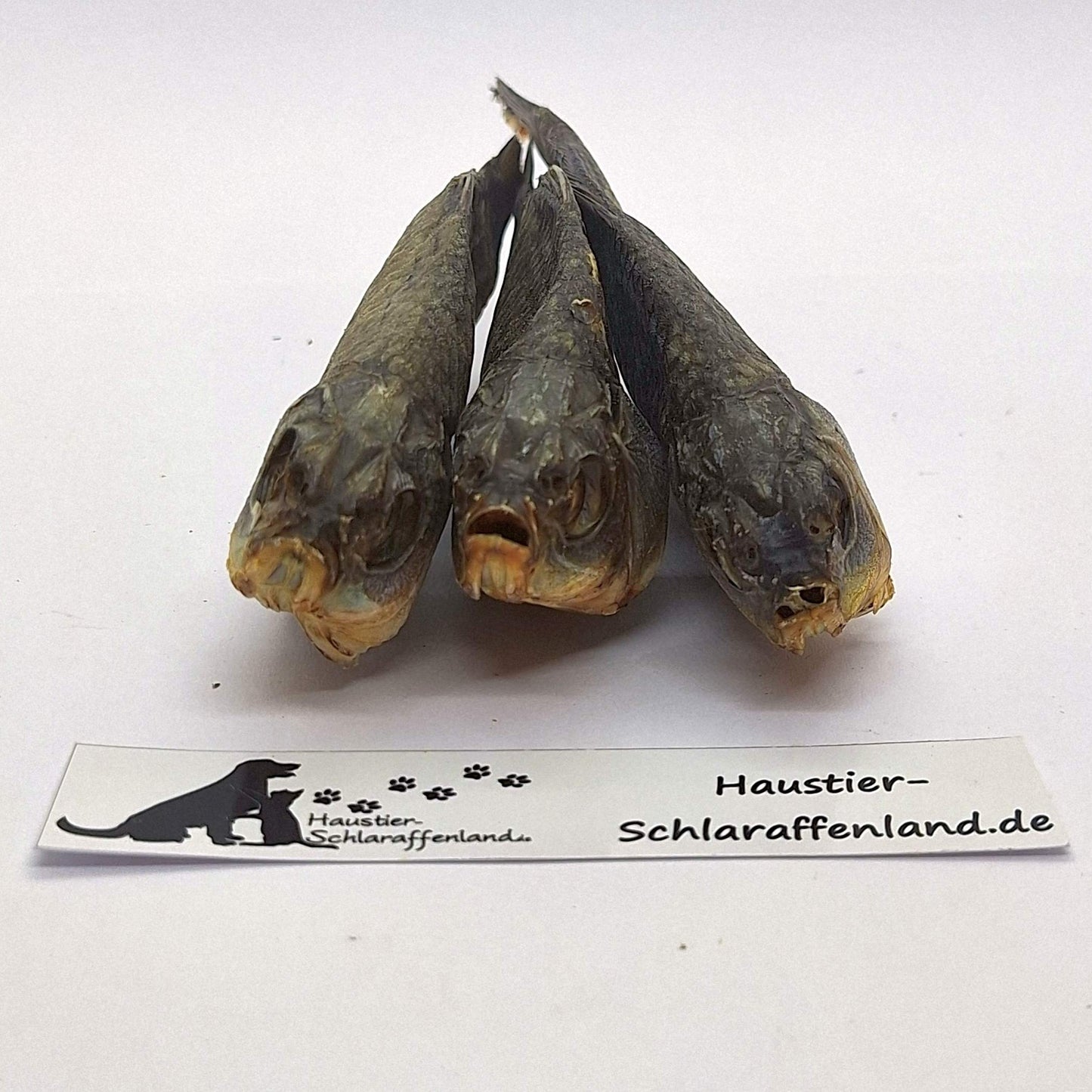 Karausche