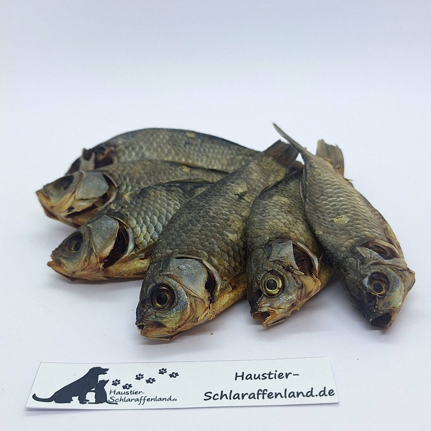 Karausche