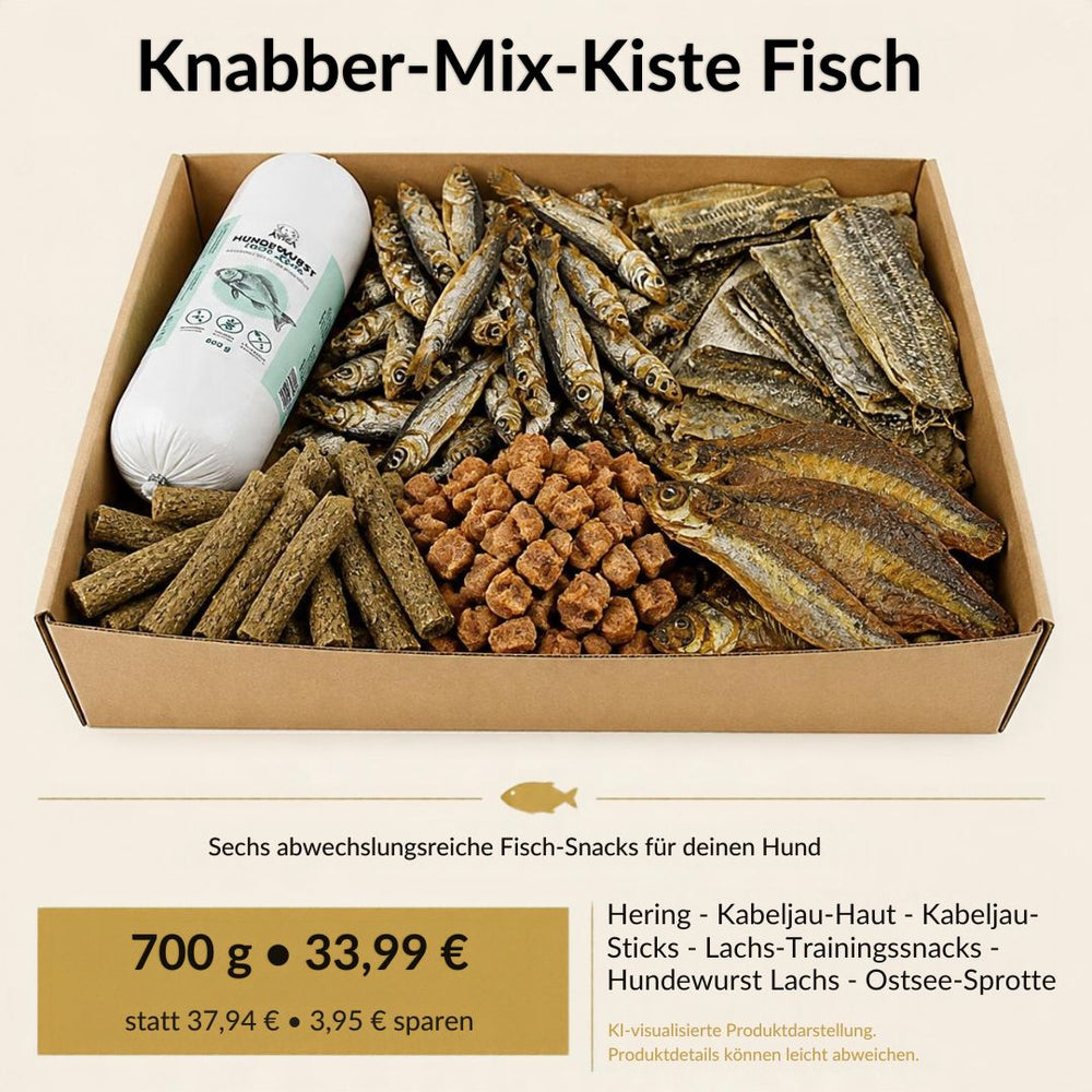 Knabber-Mix-Kiste Fisch