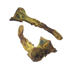 Lamm-Rippen-Endknochen