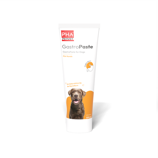 PHA GastroPaste für Hunde - 100 ml - 5 Stück