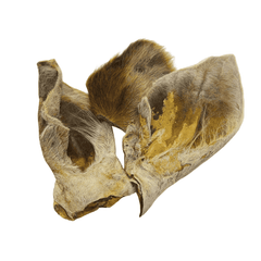 Pferde-Ohren mit Fell