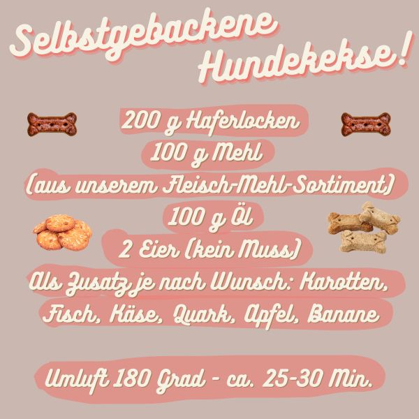 Rinder-Pansen-Mehl