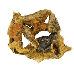 Rinder-Nasen mit Haut und Fell