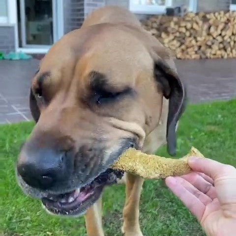 Rinder-Pansen, hell - AKTIONSWARE