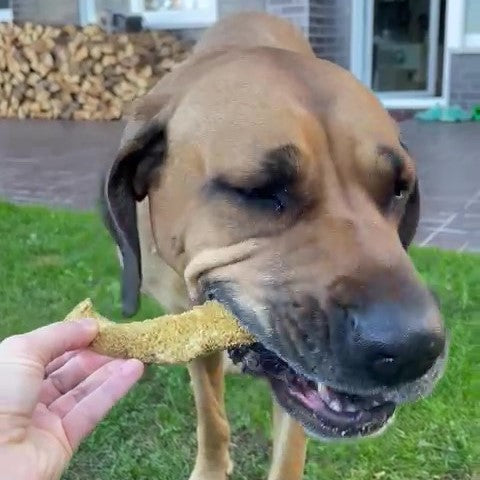 Rinder-Pansen, hell - AKTIONSWARE