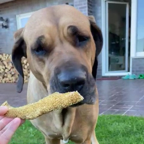 Rinder-Pansen, hell - AKTIONSWARE