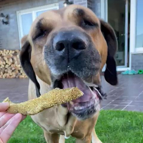 Rinder-Pansen, hell - AKTIONSWARE