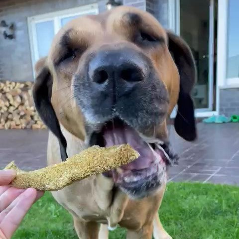 Rinder-Pansen, hell - AKTIONSWARE