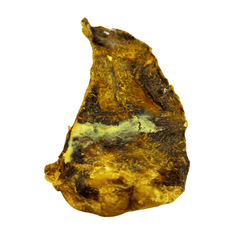 Rinder-Schulterblatt Maxi