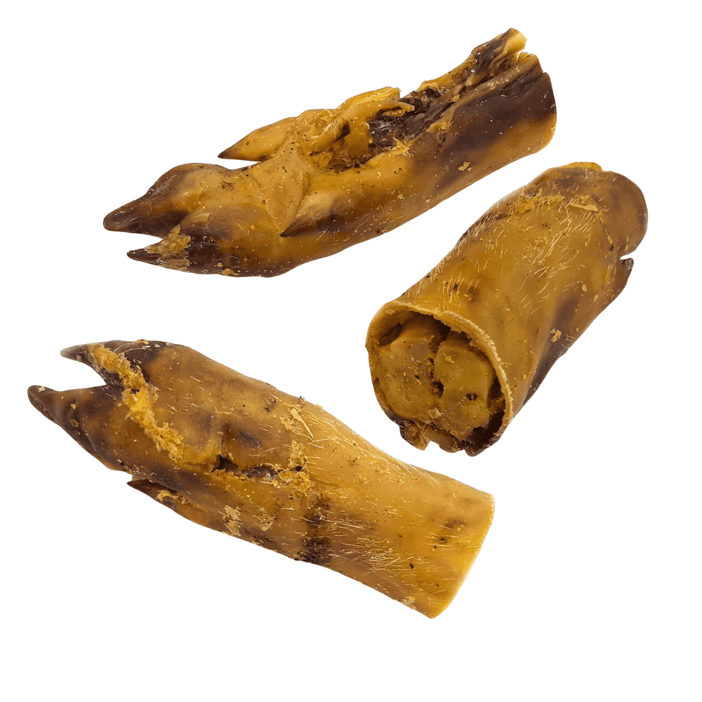 Schweine-Pfoten