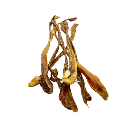 Straußen-Sehnen, kurz