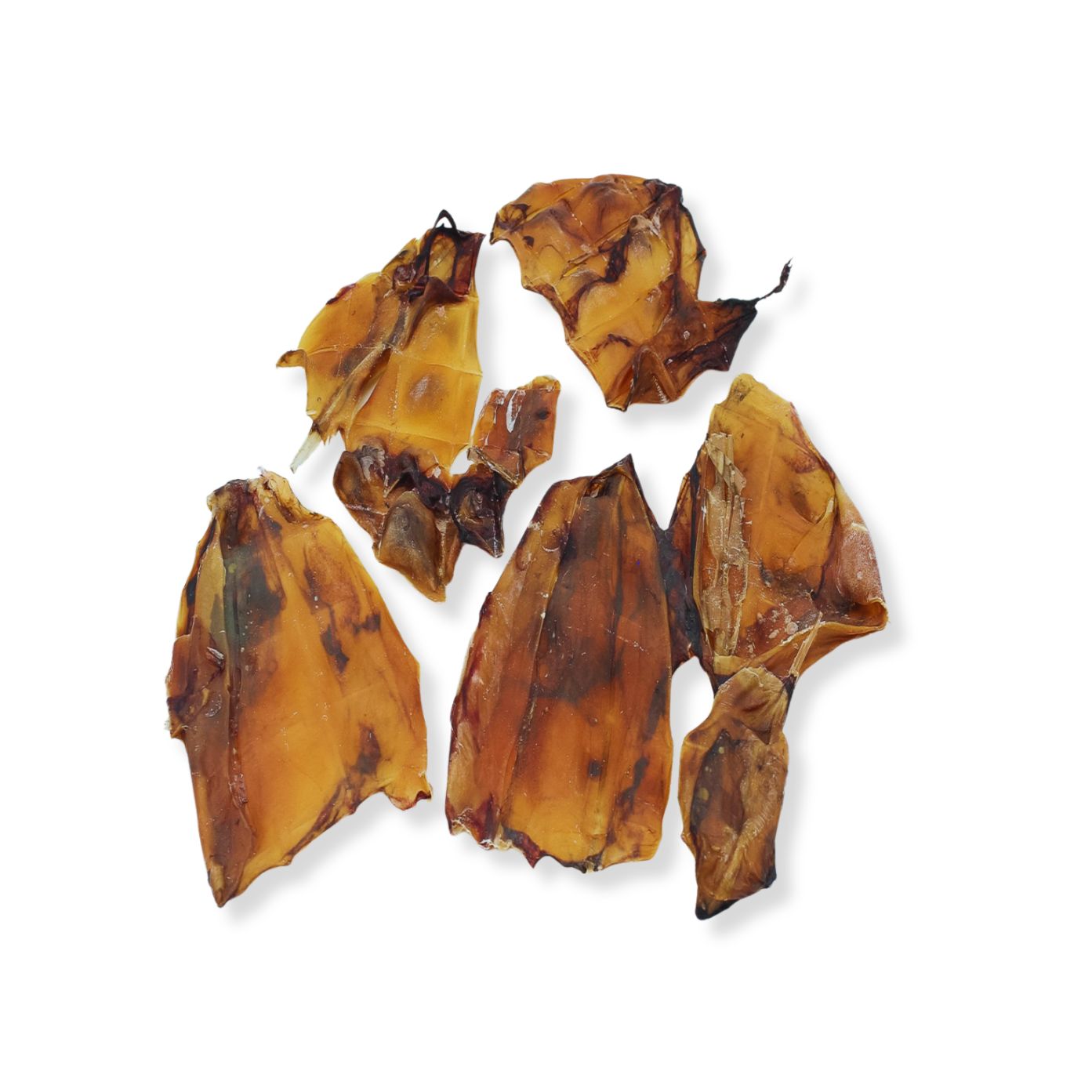 Tintenfisch